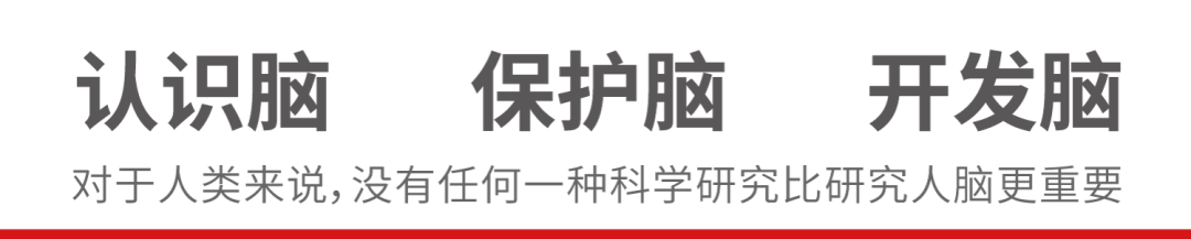 認(rèn)識(shí)腦，保護(hù)腦，開發(fā)腦